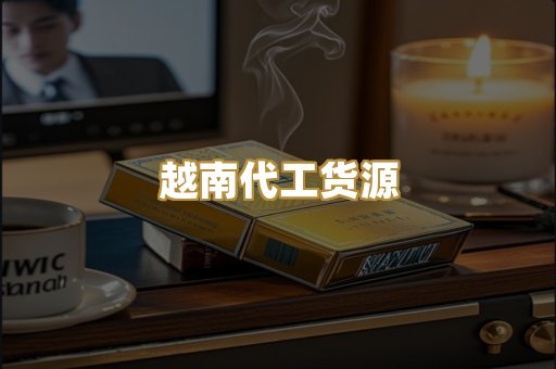 越南代工货源